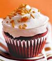 Chocolate Cupcakes